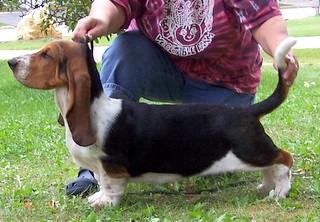 ZIGGY