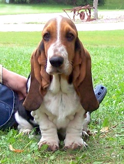 ZIGGY