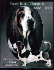 Basset book