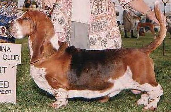 Bronson