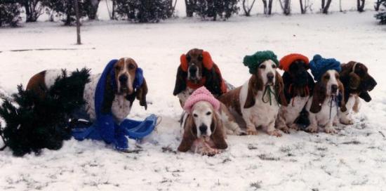 Christmas 1985