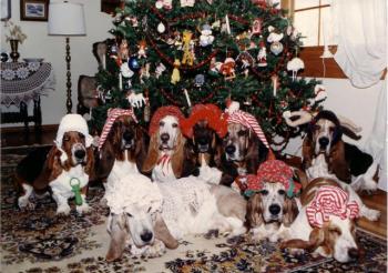 Christmas 1986