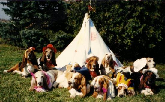 Christmas 1988