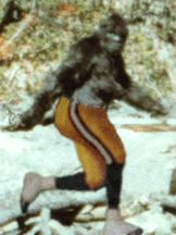 Sasquatch located in Wisconsin!