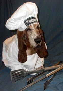 Gordo the Chef