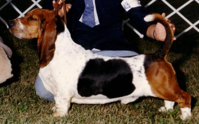 Rosco