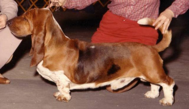 Nicky