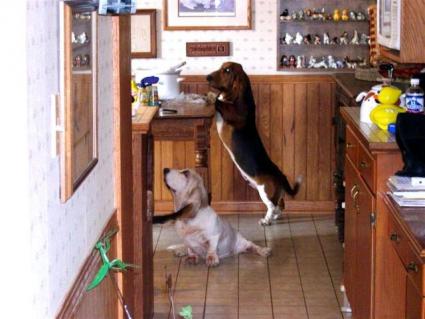 Busted!