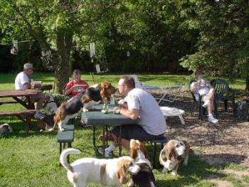 More picnics