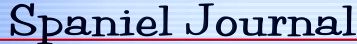 Spaniel Journal
