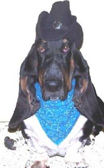 Toby