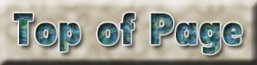 Top of Page