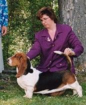 picture of dog