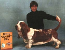 picture of dog